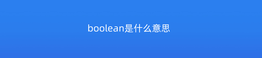 boolean是什么意思