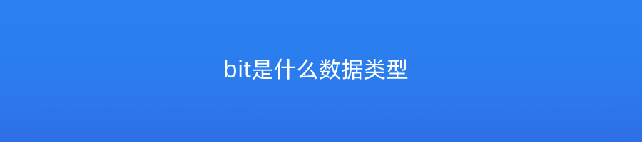 bit是什么数据类型