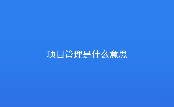 项目管理是什么意思