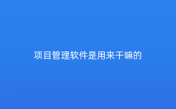 项目管理软件是用来干嘛的