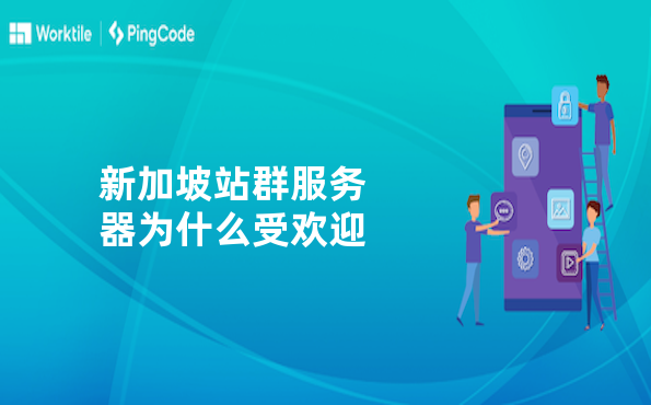 新加坡站群服务器为什么受欢迎