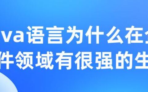 Java语言为什么在企业软件领域有很强的生命力