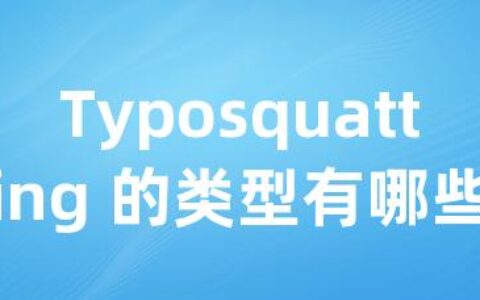 Typosquatting 的类型有哪些