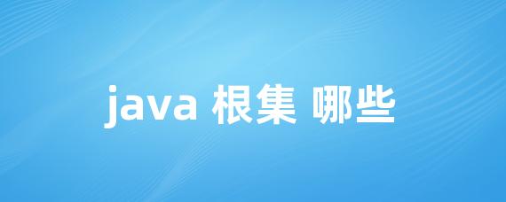 java 根集 哪些