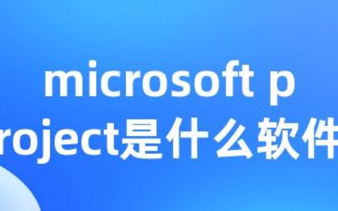 microsoft project是什么软件