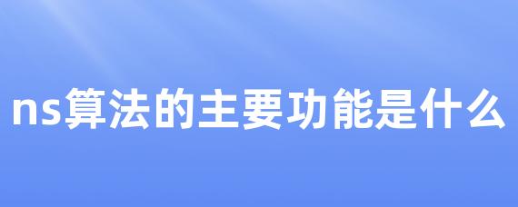 ns算法的主要功能是什么