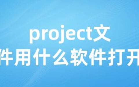 project文件用什么软件打开