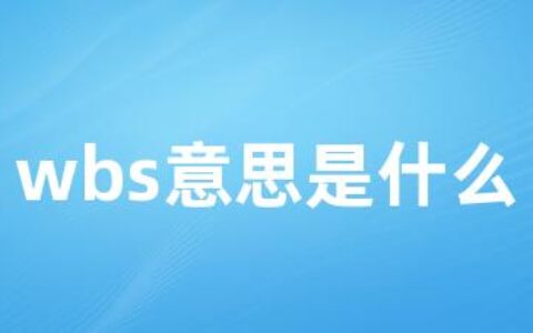 wbs意思是什么