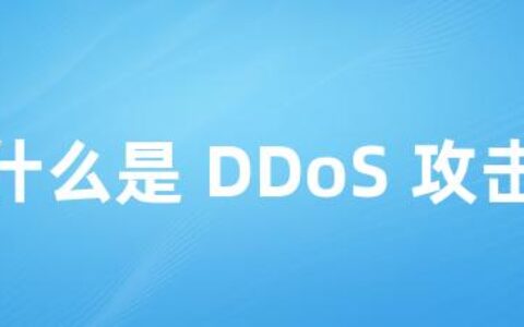 什么是 DDoS 攻击