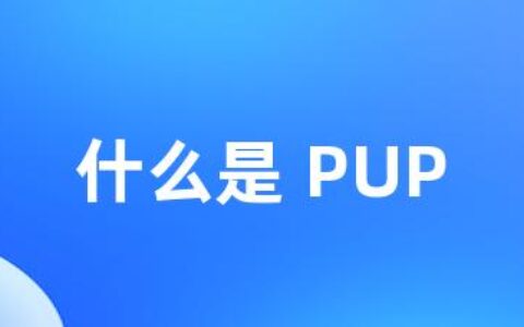 什么是 PUP