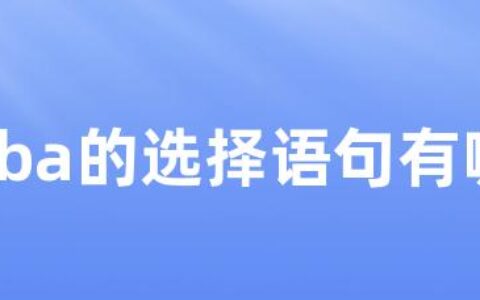 在vba的选择语句有哪些