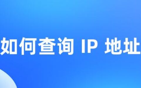 如何查询 IP 地址