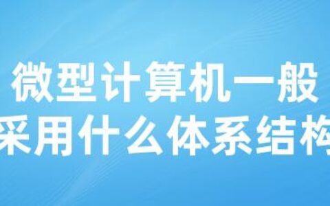 微型计算机一般采用什么体系结构