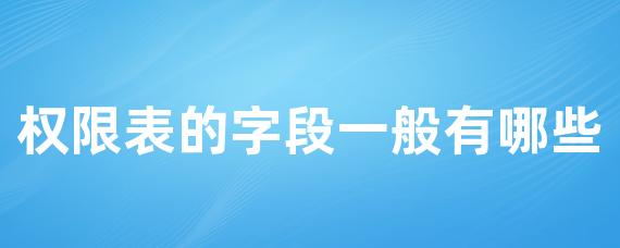 权限表的字段一般有哪些