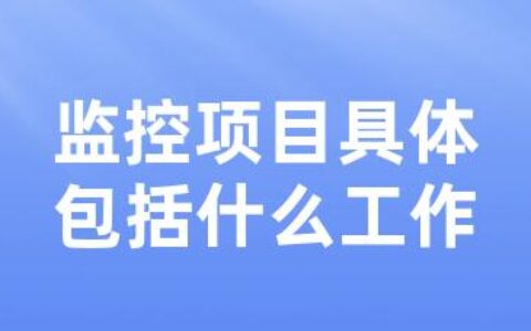 监控项目具体包括什么工作