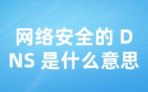 网络安全的 DNS 是什么意思