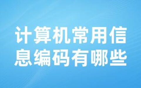 计算机常用信息编码有哪些