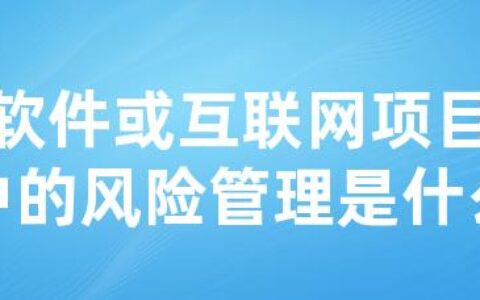 软件或互联网项目中的风险管理是什么