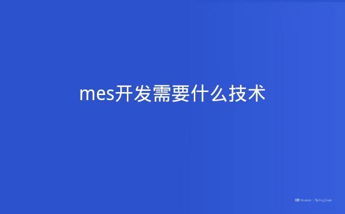 mes开发需要什么技术