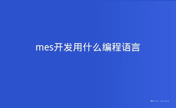 mes开发用什么编程语言