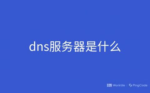 dns服务器是什么