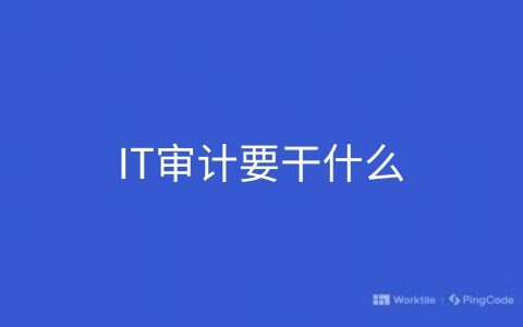 IT审计要干什么