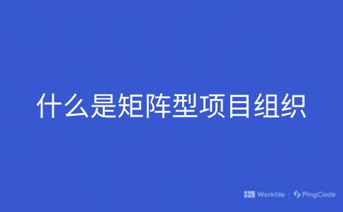 什么是矩阵型项目组织