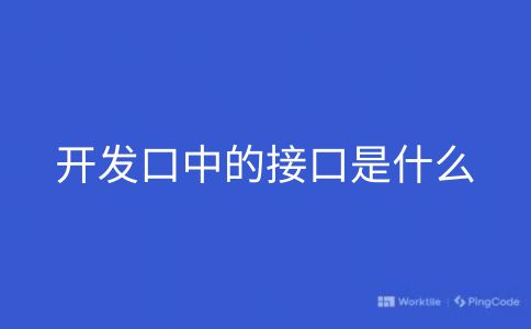 开发口中的接口是什么