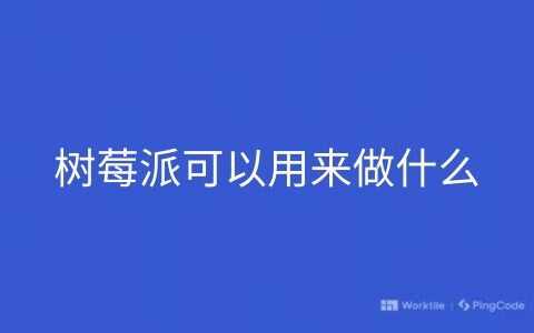 树莓派可以用来做什么