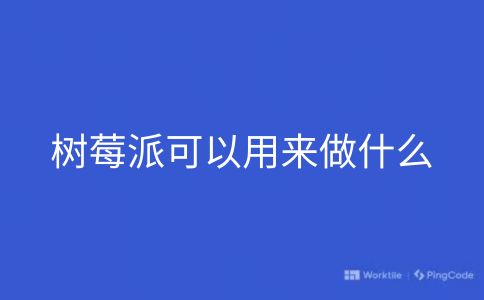 树莓派可以用来做什么