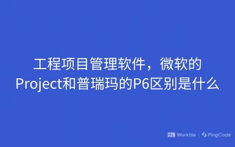 工程项目管理软件，微软的Project和普瑞玛的P6区别是什么