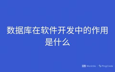 数据库在软件开发中的作用是什么