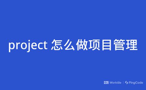 project 怎么做项目管理