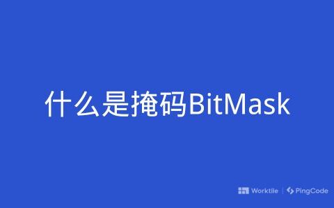 什么是掩码BitMask