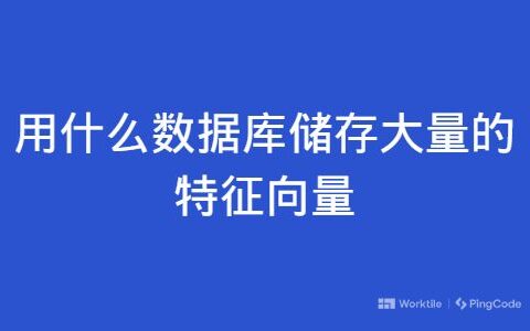 用什么数据库储存大量的特征向量