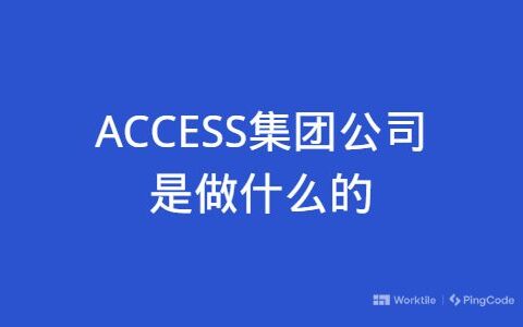 ACCESS集团公司是做什么的