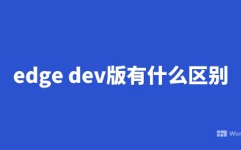 edge dev版有什么区别