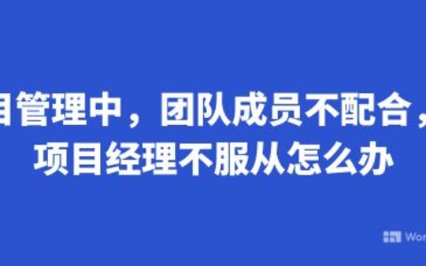 项目管理中，团队成员不配合，对项目经理不服从怎么办