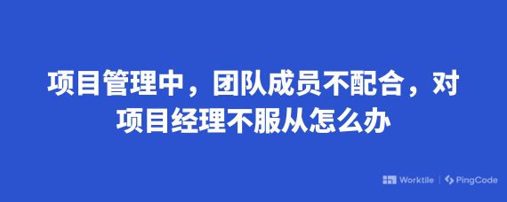 项目管理中，团队成员不配合，对项目经理不服从怎么办