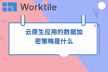 云原生应用的数据加密策略是什么