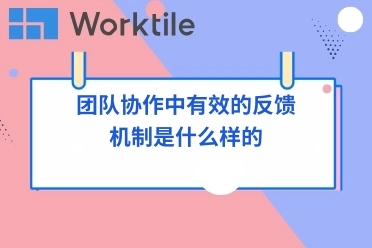 团队协作中有效的反馈机制是什么样的