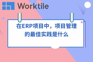 在ERP项目中，项目管理的最佳实践是什么