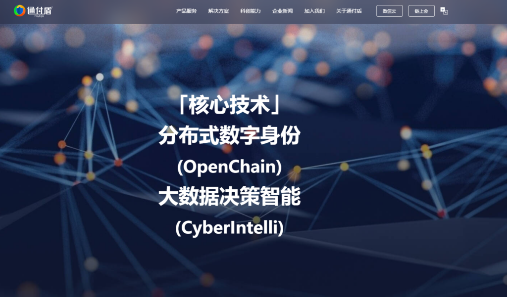 国内风控平台大盘点：10款主流产品选型指南