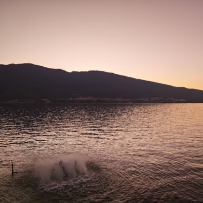 爬格子PA的头像