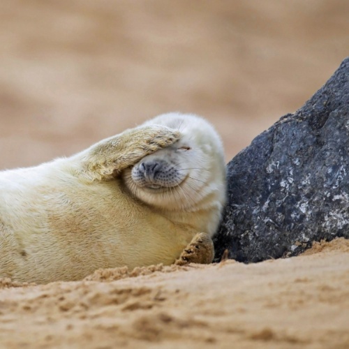 大老赖不赖的头像
