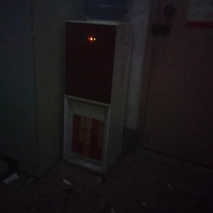 你好大玫瑰花的头像